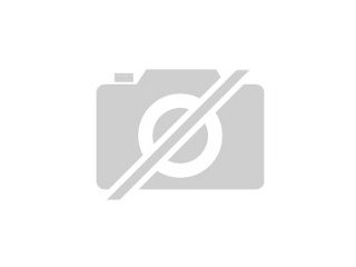 Pflegestellen und Helfer gesucht
